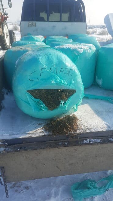 декор камни: Сенаж сухой качественый +доставка Описание: - Натуральная — 3