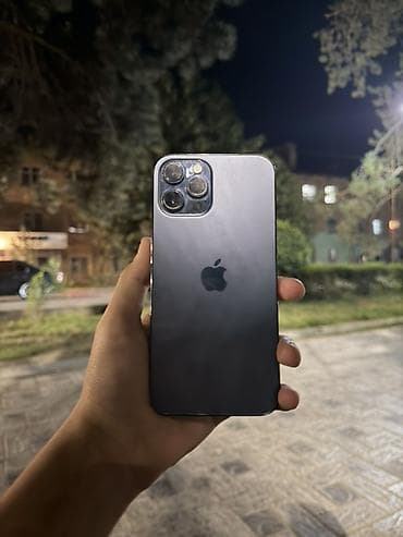 разный: IPhone Pro в тёмном цвете с плоскими гранями и тройной основной — 2