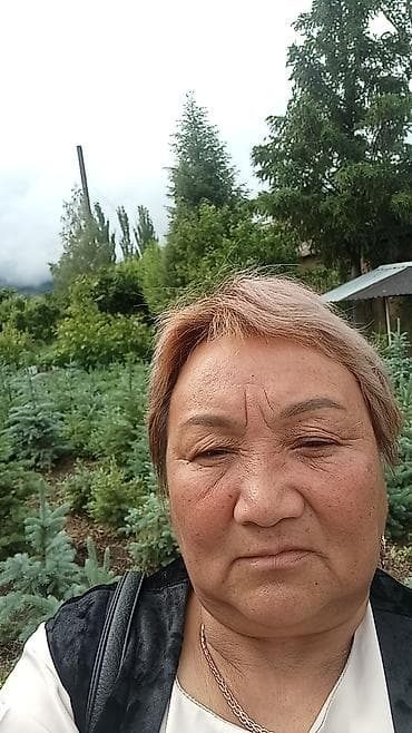 190000: Продаю участок 6 сотых село Кайырма ул Качкын 31 цена договорная тел — 4