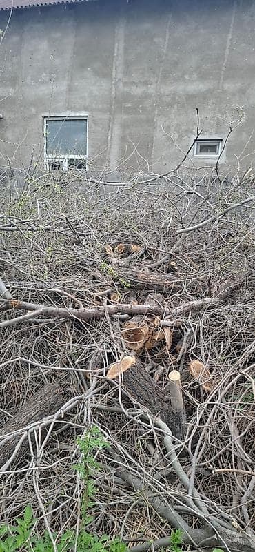 камины буржуйки: Дрова — 1