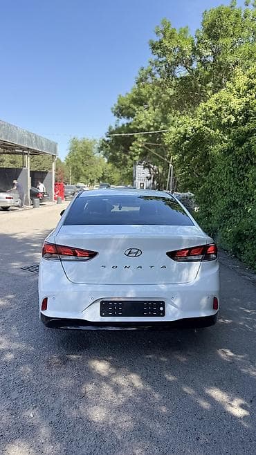 дверь сапог: Hyundai Sonata: 2021 г., 2 л, Автомат, Газ, Седан — 10