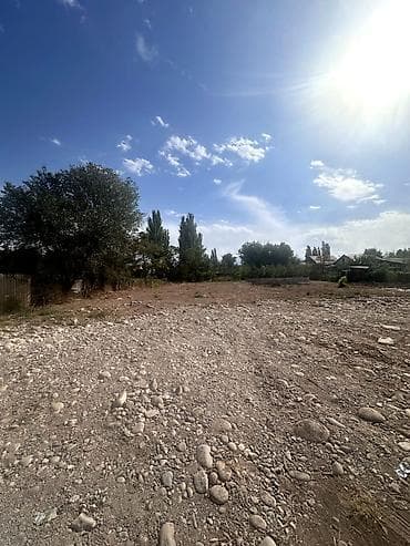 Жер тилкелери: 7 соток — 3