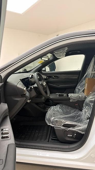 Dongfeng: Dongfeng : 2025 г., Гибрид, Кроссовер — 9