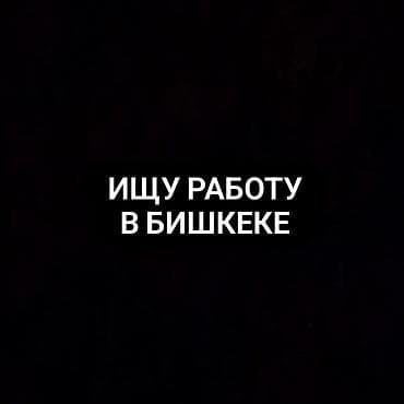 Я Ищу стабильную работу в Бишкеке (5/2 или 2/2) Молодой человек, 28 at lalafo.kg Я Ищу стабильную работу в Бишкеке (5/2 или 2/2) Молодой человек, 28