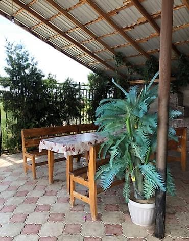 генератор продаю: Беседка Дерево — 5