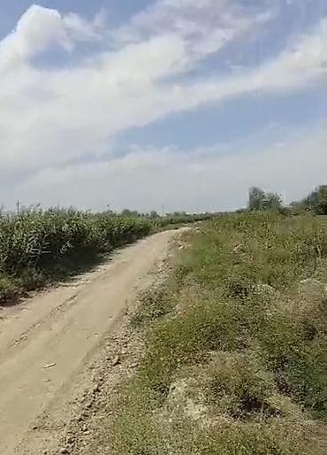 Кыймылсыз мүлк: 100 соток, Айыл чарба үчүн — 4