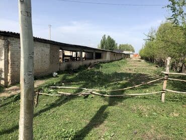 ала тоо дом отдыха: Здания — 1