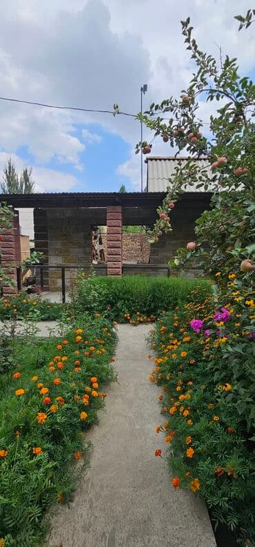 дом в сокулуке районе рэс: Дача, 40 м², 3 комнаты, Собственник, Косметический ремонт — 21