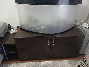 Аквариумы: Продаю аквариум с тумбой. Очень необычной формы,передняя стенка — 4