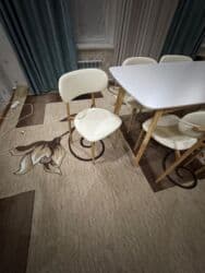 кафе столь: Стол и стул для зала, Новый, цвет - Белый — 2