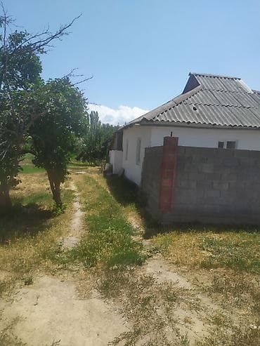 калодес ош: Село Гагарина (жээк а/о) Ысык Атинский р-н 8 км от Канта, 14 сот кр — 3