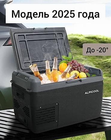 аккумуляторы бмв: Автомобильный холодильник компрессорный 30л Alpicool GC30 — 3