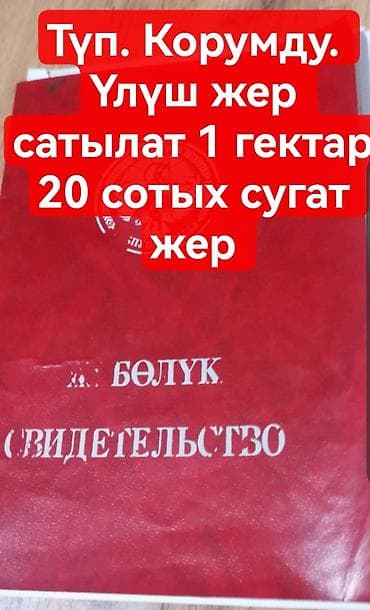 120 соток, Для сельского хозяйства, Договор дарения