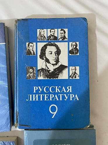 цветной карандаш: Русская литература, 9 класс, Самовывоз, Платная доставка — 4