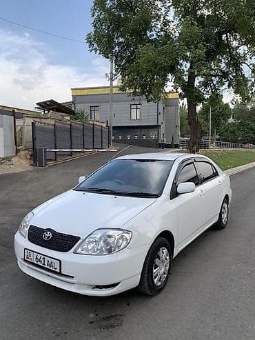daewoo matiz 2001: Toyota Corolla: 2001 г., 1.5 л, Автомат, Бензин, Седан — 3
