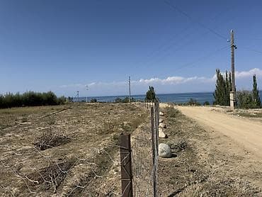 нарынская область город нарын: 45 соток, Для бизнеса, Красная книга — 5