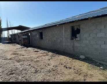 продаю дом в таласе: Дом, 100 м², 5 комнат — 19