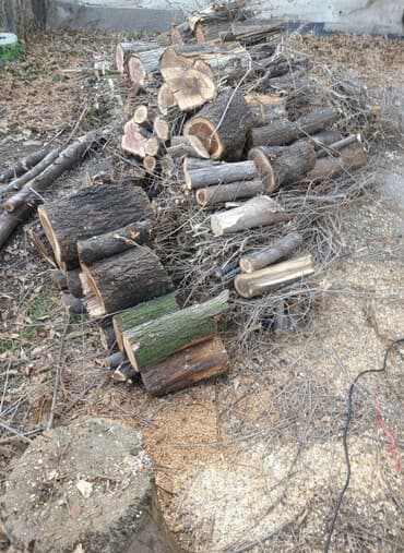 недорогая мебель для кухни бишкек: Дрова Самовывоз — 1