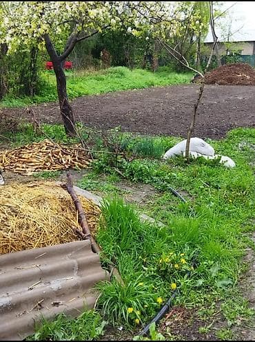 псо арт сити: Продаю дом . Кара-балта село алексеевка ул.Центральная 150 школа — 9
