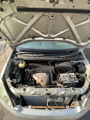 экономичные авто: Toyota Ipsum: 2002 г., 2.4 л, Автомат, Бензиновая, Универсал — 10