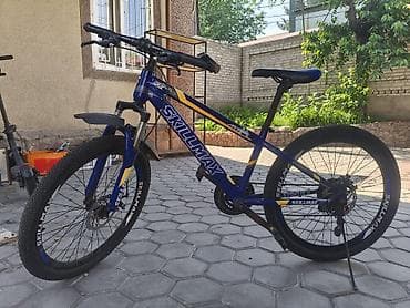speedone frame: Горный велосипед, Skillmax, Рама S (145 - 165 см), Сталь, Б/у — 2