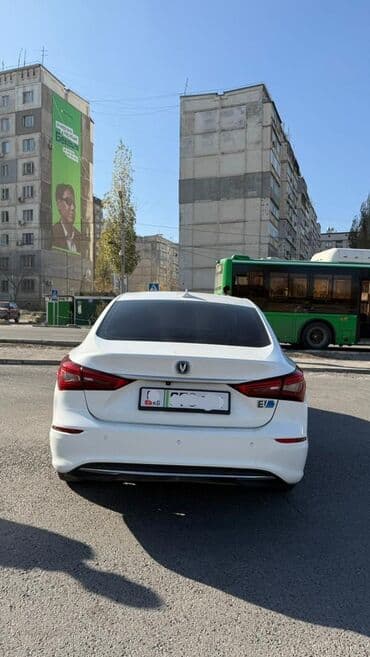 продаю в связи переездом: Changan Eado: 2019 г., 0.1 л, Автомат, Электромобиль, Седан — 3