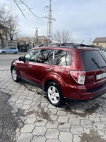 колор: Subaru Forester: 2009 г., 2.5 л, Автомат, Бензин, Внедорожник — 2