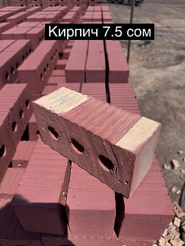 корыто для бетона: Пустотелый, дырчатый, Жженый кирпич, Полублок, 250×120×90 — 1