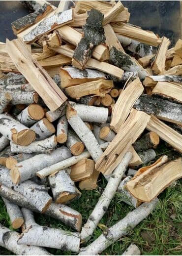 детские двухъярусные кровати из металла: Дрова — 3