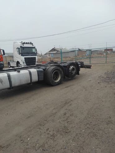 рено магнун: Тягач, DAF, 2019 г., Без прицепа — 7