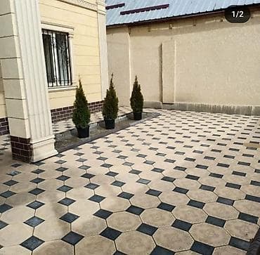 Үй жана бакча: Евробрусчатка, Башка модель, Куюлган, Жаңы — 5