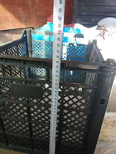 куплю коня: Пластиковый Ящик, Б/у — 5