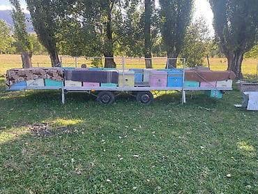Продается готовая пасека со всем инвентарем на прицепе. Цена — 6