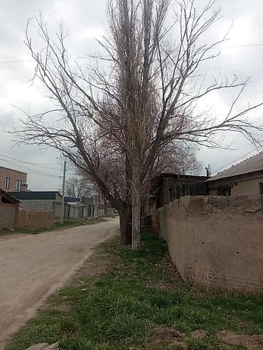 на краун: Ко́му нужна дрова крон, санитарная и формировочная стрижка забрать — 1