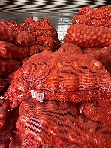 Лук: Лук Оптом — 6