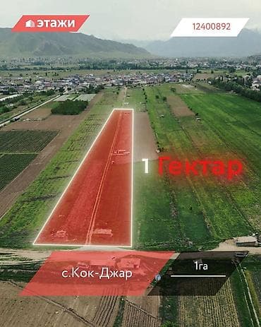 100 соток