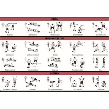 тренажер универсальный для дома: Набор универсальных эспандеров Набор трубчатых эспандеров – это — 3