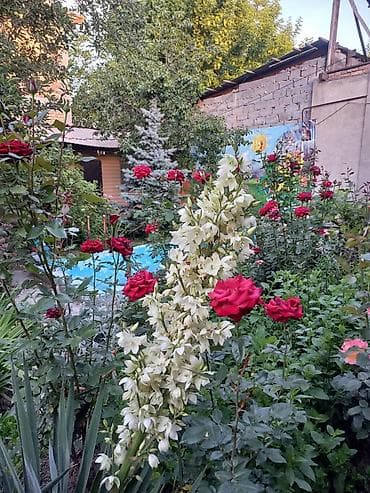 дом белавотский: РЕАЛЬНЫМ ПОКУПАТЕЛЯМ СДЕЛАЕМ СКИДКУ — 1