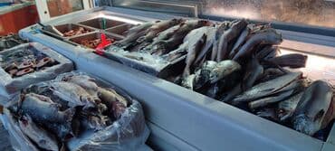 джалал абад покупайка: Дордой Фуд даяр бизнес точка сатылат! Продаётся готовый бизнес, точка — 7