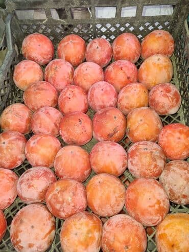 Ковролин: Хурма, сорт с крупными сладкими плодами. - Ароматная — 1