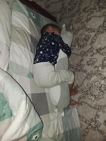 колор: Грузовик, Стандарт, Новый — 6