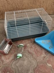 Грызуны: Комплект для содержания мелких грызунов/кролика: - Просторная клетка — 3