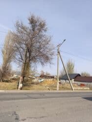 купить саженцы плодовых в бишкеке: Срочно продаю участок 10 сотых город Каинда прям на трассе угловой — 3