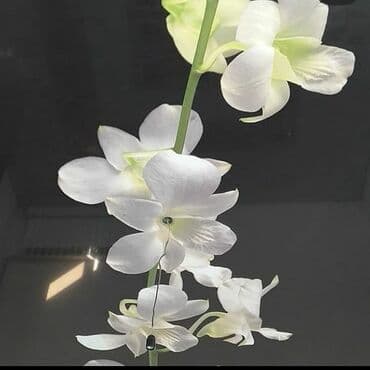 услуги сноса домов в бишкеке: Натяжные потолки Делаю любую сложность натяжного потолка 100% С — 4