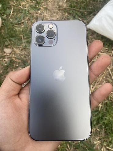 IPhone 13 Pro, Графит