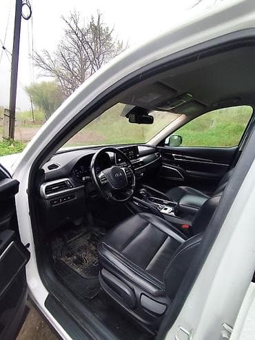 s7 fe: Kia Telluride: 2021 г., 3.8 л, Автомат, Бензин, Кроссовер — 10