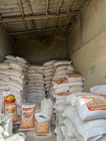 Иттер: Улпак отруби кебек — 12