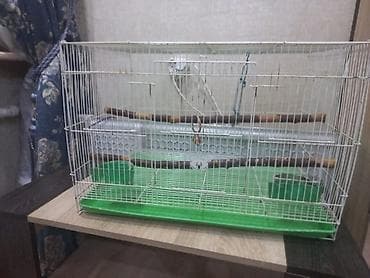 cat sofa: Клетка для попугая/любых птиц. В отличном состоянии. Размер 60х40х40 — 1