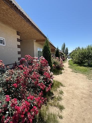 Ысык-Көлдө конок үйлөр: Ысык-Көлдө конок үйү, TAMCHY GUEST HOUSE, Тамчы, 10+ орун — 2