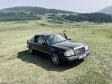 windom 2003: Mercedes-Benz W124: 1992 г., 2.3 л, Бензин, Седан — 3